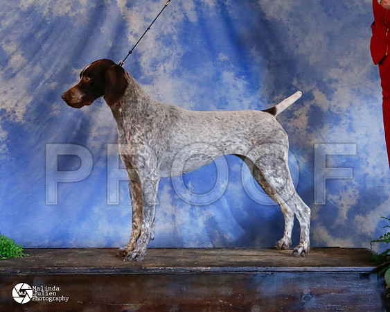 GSP-9820-HstnMar2014-HR3