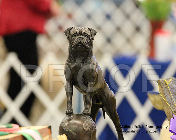 9-12PupSweeps-8821