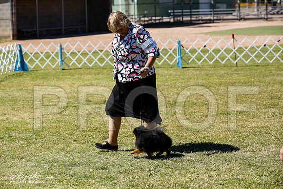 _JN_4915-AlamogordoOct2014-HR3