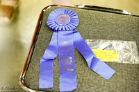 Puppy Best in Show Sat S2 Ring