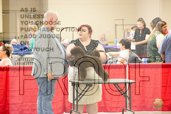 Poodle Miniature # Ringside Matthew Proctor Sat_JJL_3893_LongviewTX_2024_HR3