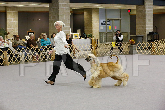 _JJ_8173-AfgBeltonOct2014-HR3