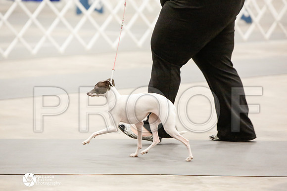 _CK_6063-AblnMay2014-web