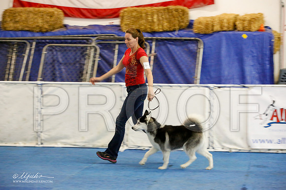 _M3_8149-AddisonHuskyMar2015-HR3