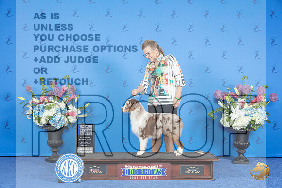Miniature American Shepherd #9 SAT WD BOW Judge Jon Cole__JP_0034_Houston_2024_HR3
