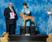 Cirnechi Dell Etna #6 Fri OH G1 Turner Charles Gracie Turner Lucia Prieto Judge Mr Bill R W Edwards