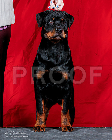 _ST_1769-2-AmarilloSep2014-HR3