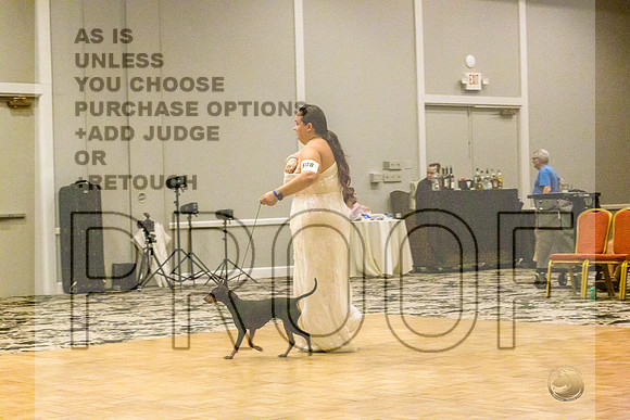 Manchester Terrier MTOY Candids-JJL_2012-Hstn2022_HR3