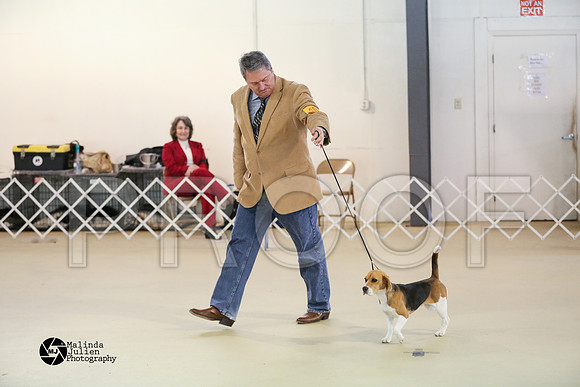 beag-0429-HtoJan2014-HR3