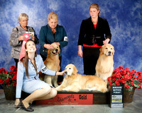 #478 Fri 1st Brood Bitch GCH Summits Every Fashion Venture Beth Johnson, Alan Klessig & David Harper Judge Kitty Cathey