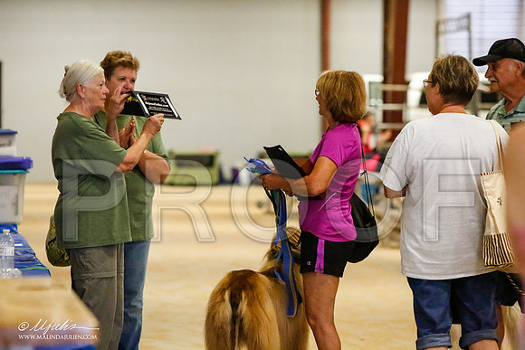 _MJ_2752-AfgBeltonOct2014-HR3