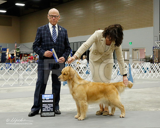 _CL_6044-BeltonJan2015IABCA-HR3