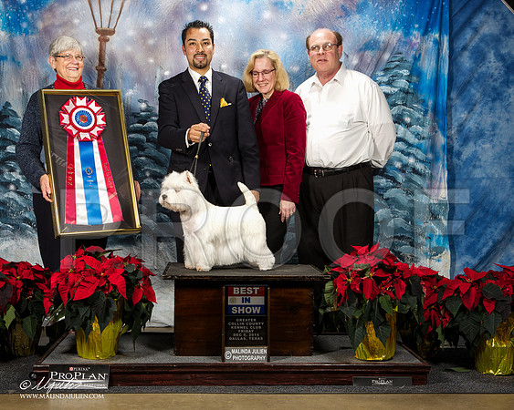 _ST_8397-DallasDec2014-HR3