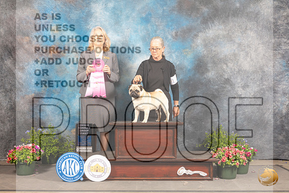 Pug #11 Fri OHG1 Judge Pamela Wilson_MJ_0019_SA_2022_HR3