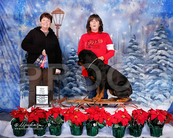 rott-6536-MrshlDec13-HR