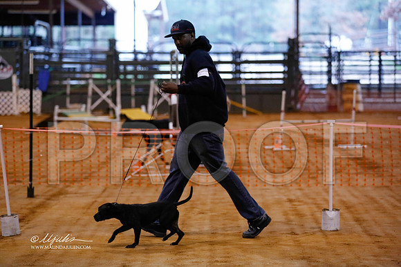 staffy-3497-MrshlDec13-HR