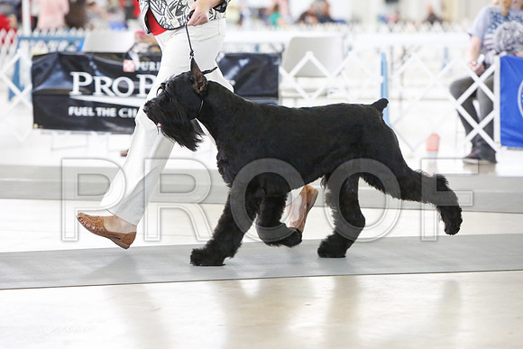 _JJ_0244-DallasJul2014-HR3