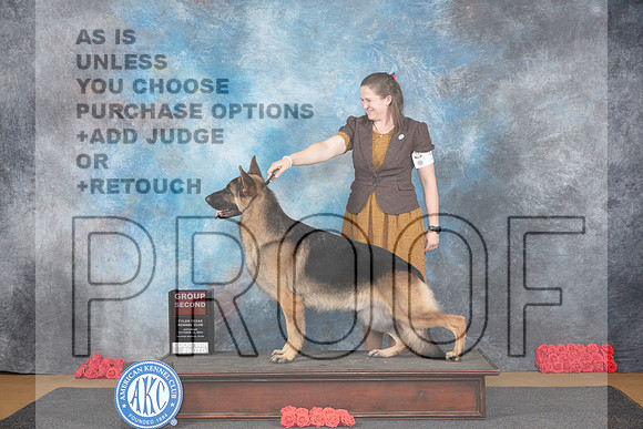 German Shepherd #5 Sat G2 Judge Pat Trotter__JP_0146_Sulphur Springs_2024_HR3