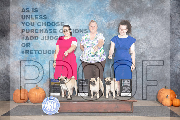 Pugs #5 #10 #12 Sun BOB BOS SB NGCH NGCH Judge Tim Catterson__JP_9125_Humble_2024_HR3