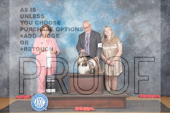 Shih Tzu #5 Sun G4 Judge Nikki Riggsbee__JP_0905_Sulphur Springs_2024_HR3