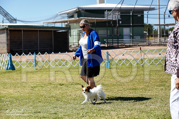 _JN_5053-AlamogordoOct2014-HR3