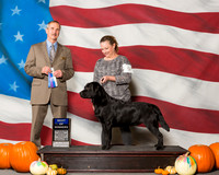 Retrievers Labrador #9 Sun BOW Adams Lisa Judge Mr Rick Gschwender