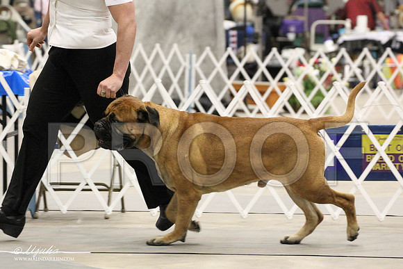 IMG_8069-Abilene2011-HR3