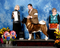 Akita #7 Wed G4 Rogers Robert & Patricia & Rick & Teresa White Agent Clint Livingston Judge N Simmons