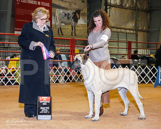_RH_8896-2-GlenRoseJan2015-HR3