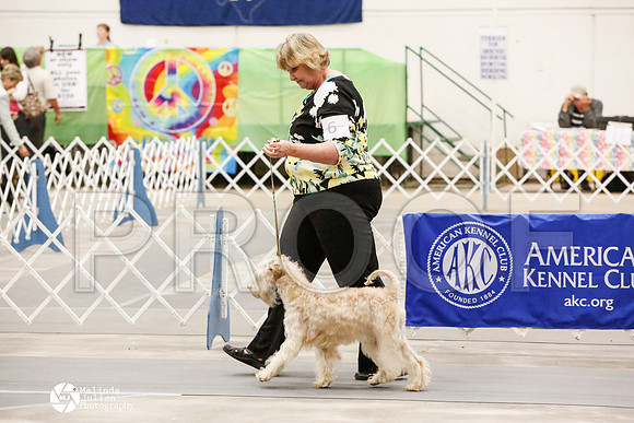 _CK_8555-AblnMay2014-web