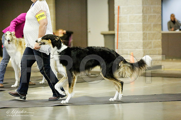 _RH_1323-BeltonJan2015IABCA-HR3