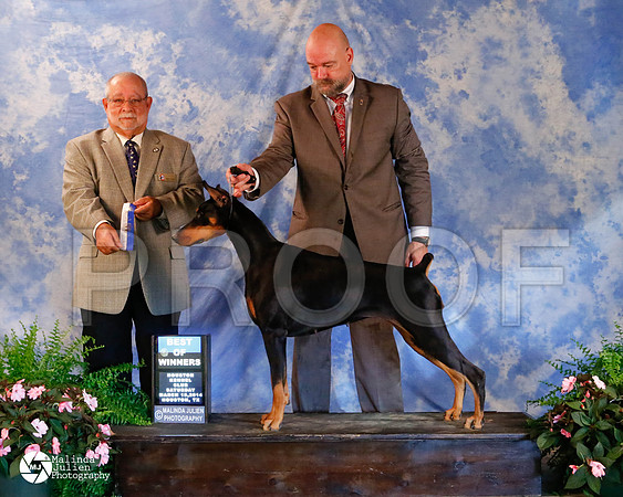 dobe-5102-HstnMar2014-HR3