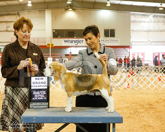 _MJ_5253-2-GlenRoseJan2015-HR3