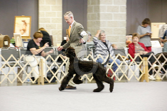 _JJ_1365-AfgBeltonOct2014-HR3