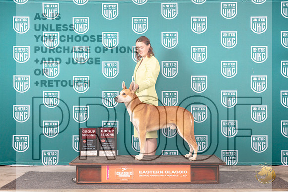 Carolina Dog #146 Fri Sat note__JP_2427_UKCEastern_2024_HR3