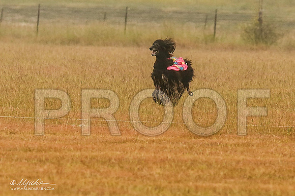 _MJ_2824-AfgBeltonOct2014-HR3