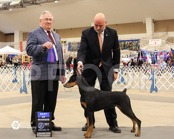 dobe-7539-MidFeb14-HR