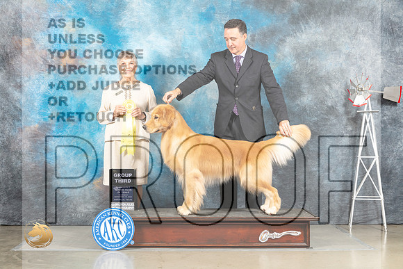 Golden Retriever #17 Sat G3 Judge Jill Warren_MJ_4648_Amarillo_2022_HR3