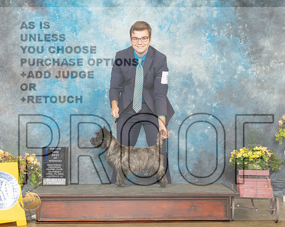 Cairn Terrier #9 Sat WBBOW Judge Grace Fritz-MMJ_0533-NWARK2022-HR3