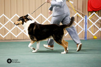 Bred By Exhibitor Smooth Sun Ring