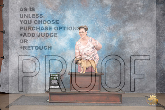 French Bulldog #451 Sat BOB G3 Judge Matthew Proctor__JP_2749_LongviewTX_2024_HR3