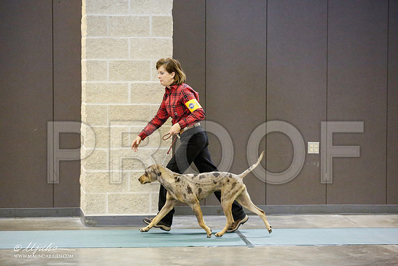 _JN_3233-BeltonJan2015-HR3