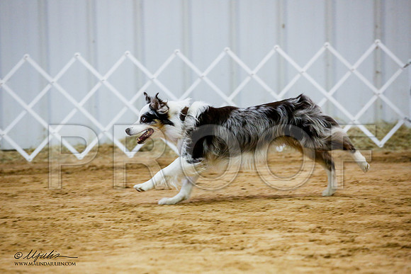 _JJ_8381-ASCACollegeStationNov2014-HR3