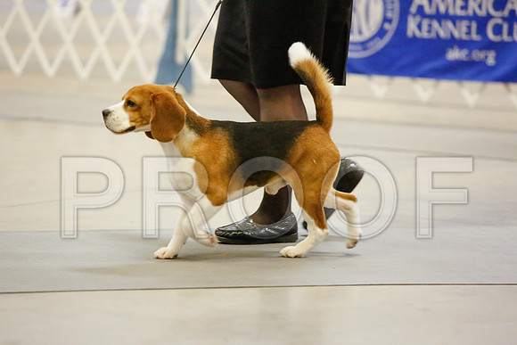 _JJ_3754-AmarilloSept2014-HR3