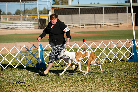 _JJ_2043-AlamogordoOct2014-HR3