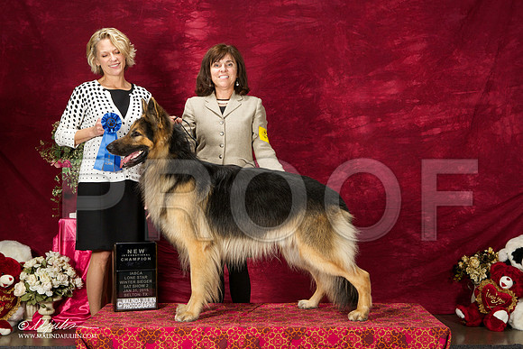 _ST_2699-BeltonJan2015IABCA-HR3
