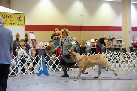 _JN_7094-AmarilloSept2014-HR3