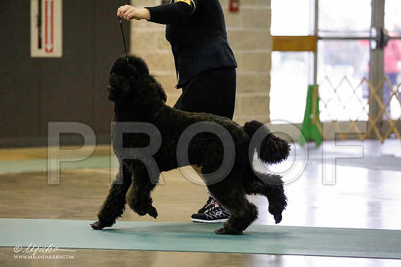 _RH_9667-BeltonJan2015-HR3