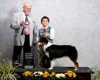Australian Shepherd Sat S2 Best Junior Judge P Bruneau