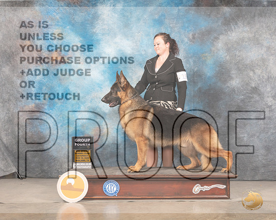 German Shepherd Dog #11 Sat G4 Judge Linda ClarkMMJ_4665_Mdlnd2022_HR3